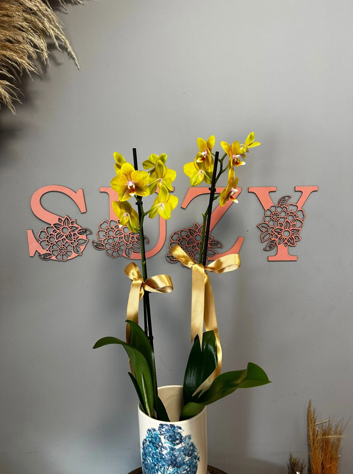 Gün Işığı Sarı Renkli Orkide