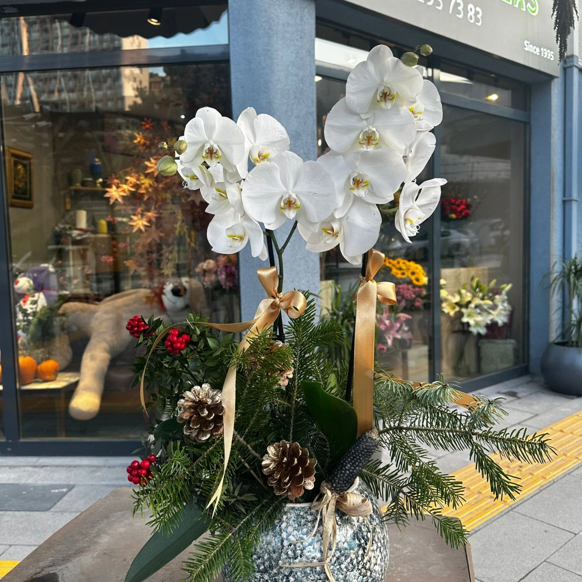 Koki̇na Süslemeli̇ Zari̇f Yeni̇ Yil Orki̇desi̇