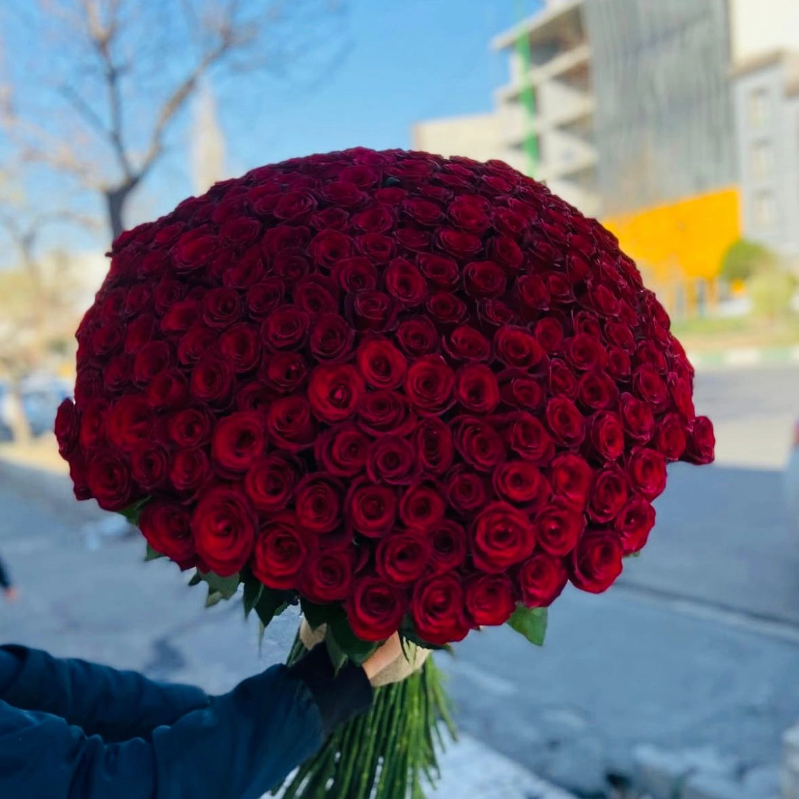 201 Adet Kirmizi Gül Buketi̇