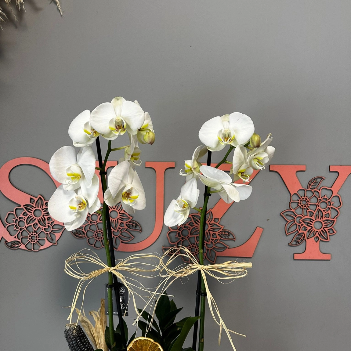 Asaletin Rengi Beyaz Orkide