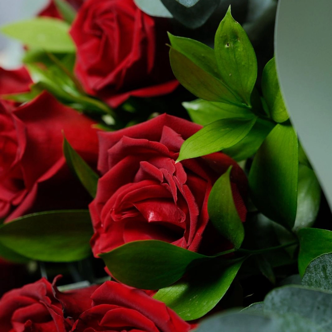 Aşkın Simgesi 19 Kırmızı Gül Buketi