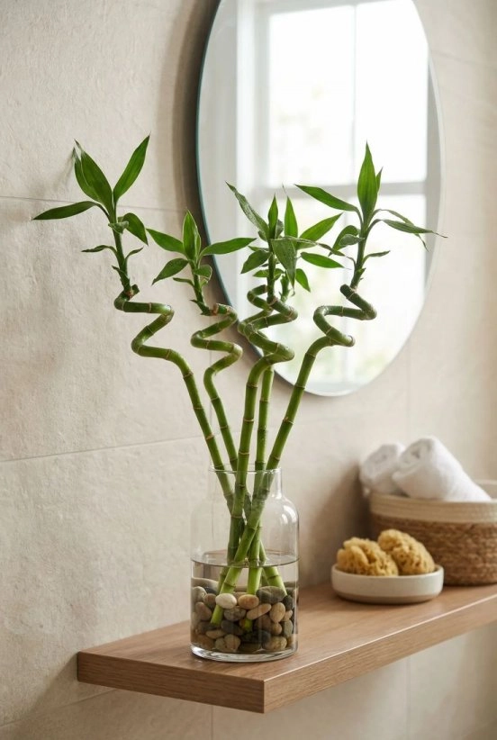 Bereketin Simgesi Bambu Çubukları 5Li