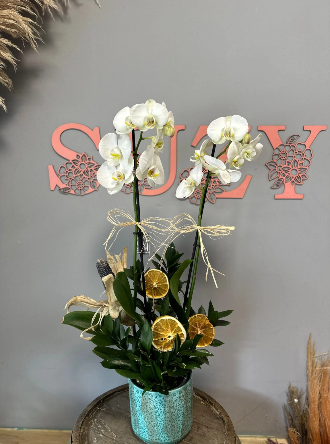 Çift Dal Beyaz Premium Orkide