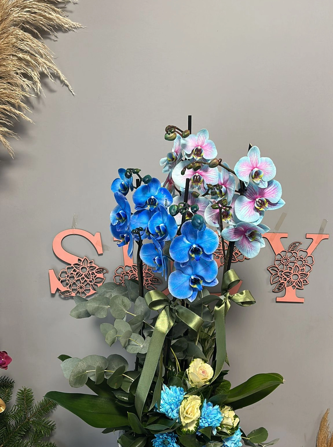 Çift Ton Mavi 4 Dallı Orkide - Modern Saksıda