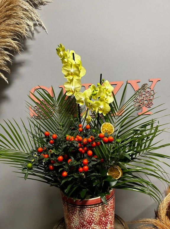 Kokina Süslemeli Büyük Orkide Aranjmanı