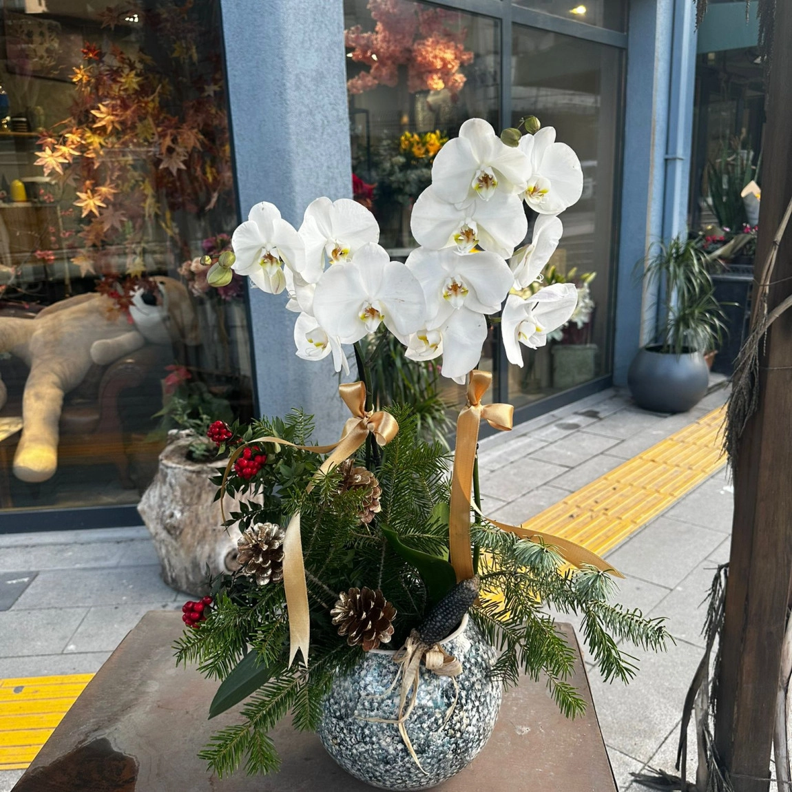 Koki̇na Süslemeli̇ Zari̇f Yeni̇ Yil Orki̇desi̇