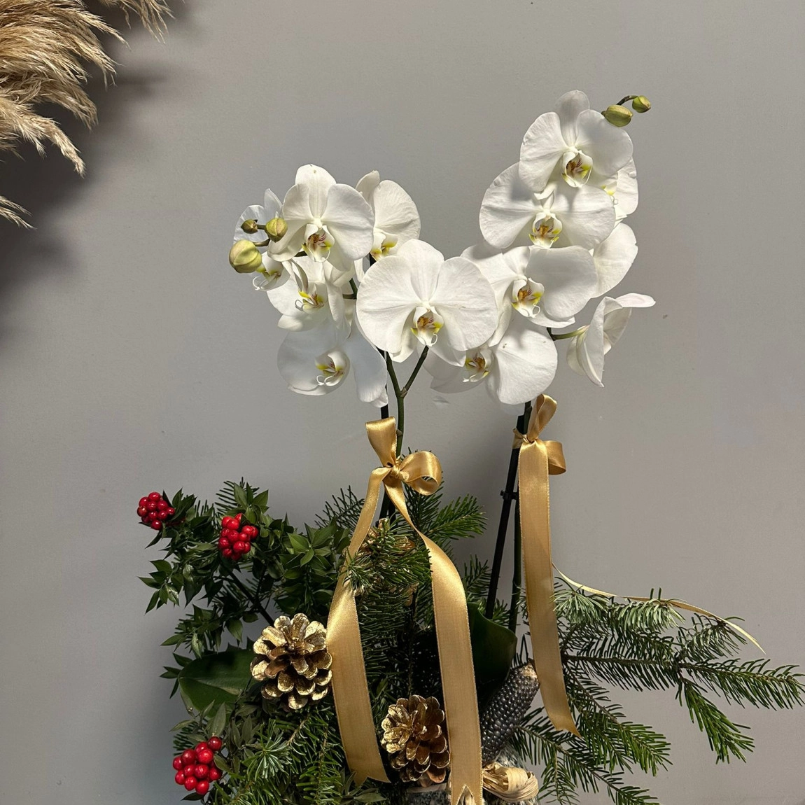 Koki̇na Süslemeli̇ Zari̇f Yeni̇ Yil Orki̇desi̇