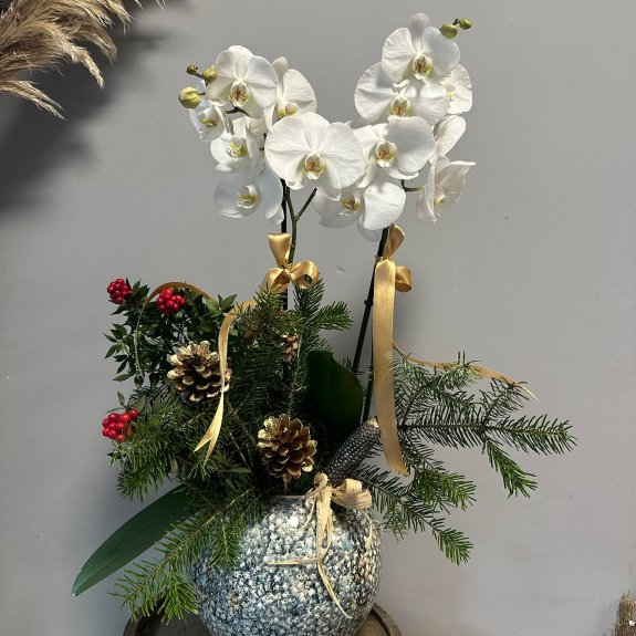 Koki̇na Süslemeli̇ Zari̇f Yeni̇ Yil Orki̇desi̇