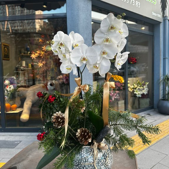 Koki̇na Süslemeli̇ Zari̇f Yeni̇ Yil Orki̇desi̇