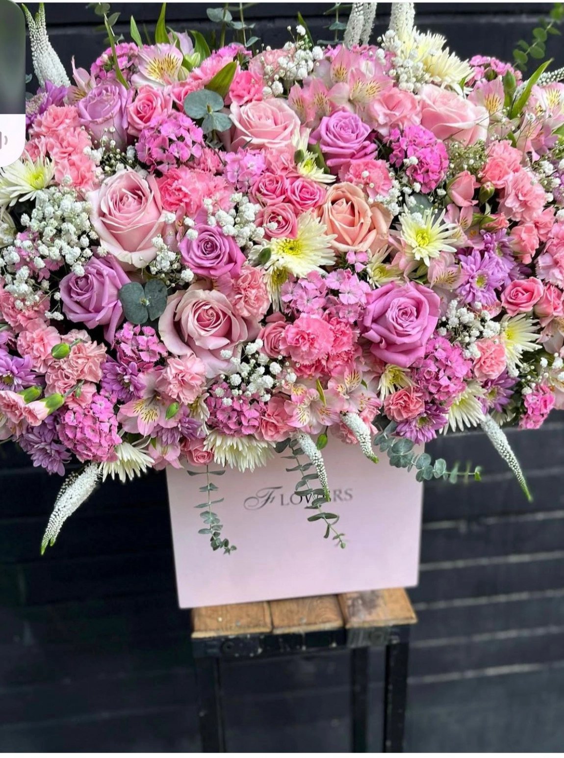 Pembe Rüya Arajmani