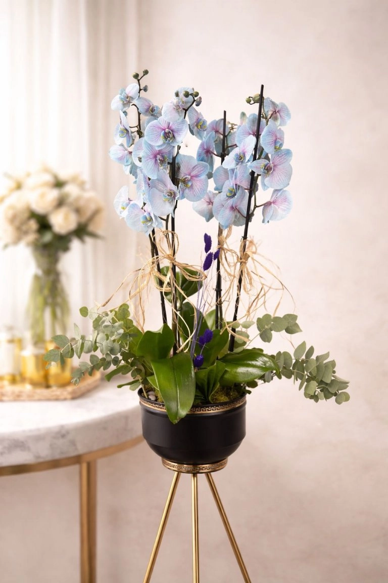 Dört Dal Özel Tasarım Mavi Orkide Aranjmanı
